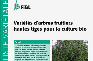 Page de couverture de la liste variétale «Variétés d'arbres fruitiers hautes tiges pour la culture bio»
